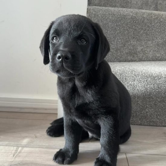 WhatsApp Image 2025-06-04 at 00.39.28