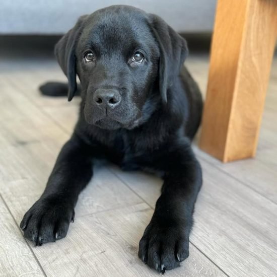 WhatsApp Image 2025-06-04 at 00.40.12