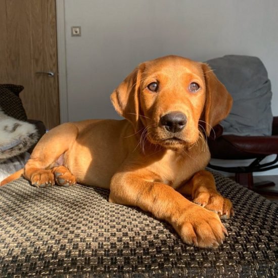 WhatsApp Image 2025-06-04 at 00.41.36