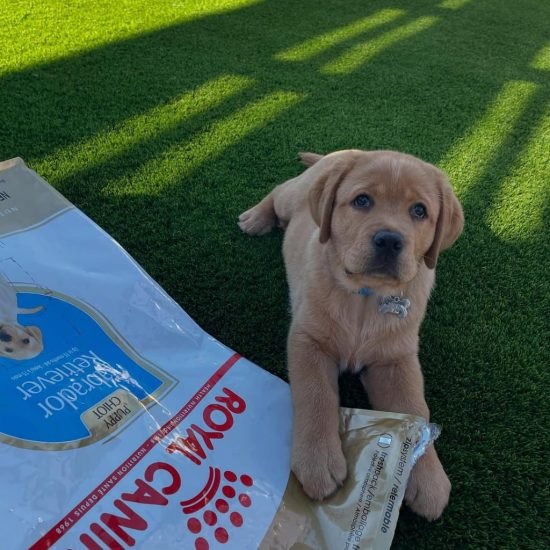 WhatsApp Image 2025-06-05 at 03.06.45