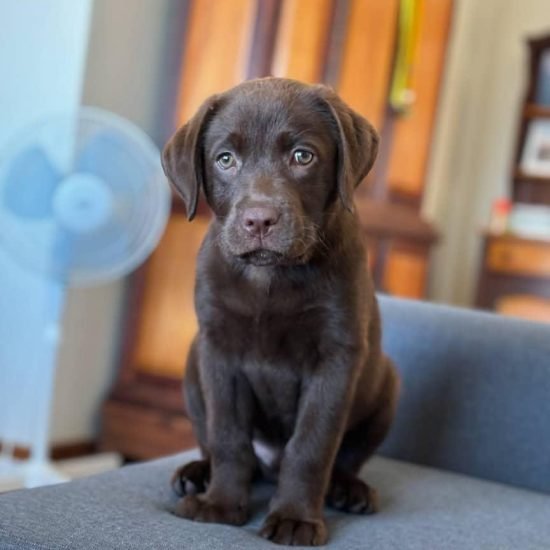 WhatsApp Image 2025-12-11 at 1.23.11 AM (1)