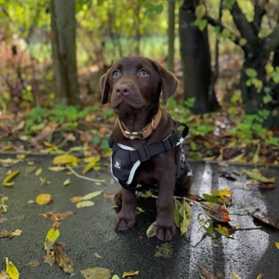 WhatsApp Image 2025-12-11 at 1.23.11 AM (2)