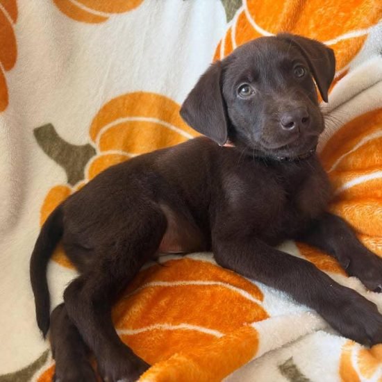 WhatsApp Image 2025-12-11 at 1.23.11 AM