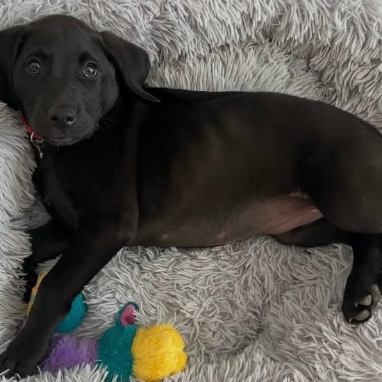 WhatsApp Image 2025-12-11 at 1.23.12 AM (2)