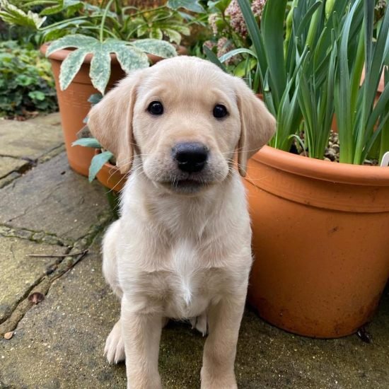 WhatsApp Image 2025-12-11 at 1.23.12 AM (3)